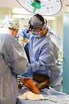 OR_HAYDON_LAU_ORTHO_SURGERY