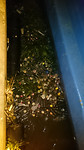 Plastic in water