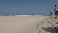 Vrachtwagens Dakar rally op het strand