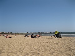 IMG_1031