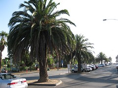 IMG_1044