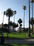 IMG_1045