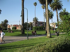 IMG_1046