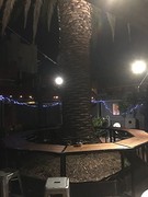 IMG_7993