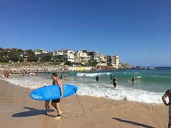 IMG_8411