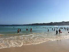 IMG_8414