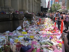 IMG_1800