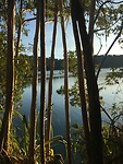 03601368-D468-4C57-84D7-7865E0DEB081