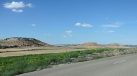 P8212324 (2)