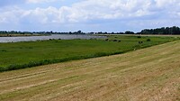 Omgeving Wilsum aan de IJssel