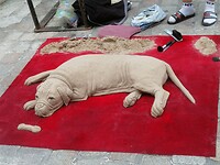 IMG_20210726_130908