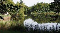 P8135128