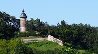 P8135132