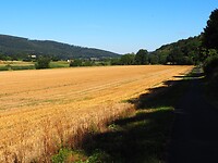 P1010478