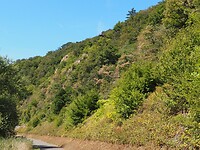 P1010481