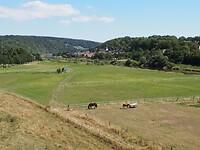 P1010483