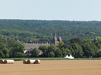 P1010496