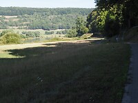 P1010517