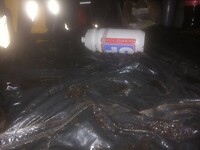 WATER IN DE TENT