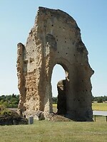 P8191194