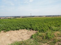 Landbouwstreek Bollezele