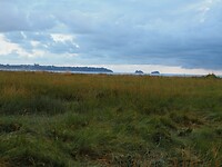 Zicht op Cancale