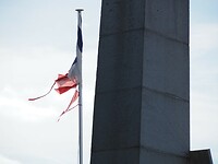 P9033666