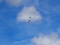 P9033673