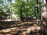 Forêt de Fontainebleau