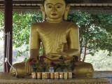 Red bulls for Buddha