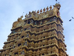 Nallur tempel.