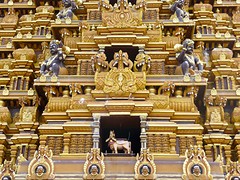 Tempel.