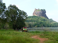 Leeuwenrots.