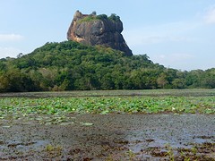 Leeuwenrots.