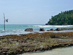 Strand Mirissa.