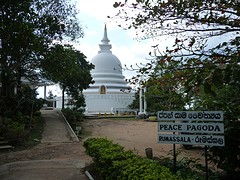 Peace Pagode Unawatuna.