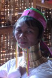 Longneckvrouwtje.
