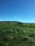 Ida valley