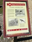 IMG_20171026_110034