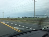 IMG_0771