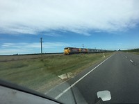IMG_0773