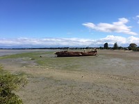 IMG_1297