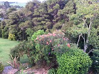 IMG_1706