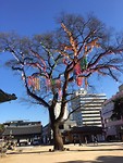 IMG_1890