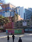 IMG_1892