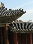 IMG_20171206_133457_resized_20171206_052254841