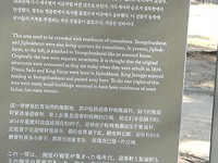 IMG_20171206_132447_resized_20171206_052438433