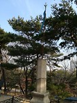 IMG_20171206_131223_resized_20171206_052554736