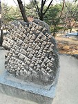 IMG_20171206_131131_resized_20171206_052557604