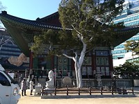 IMG_20171205_135020_resized_20171206_052655306